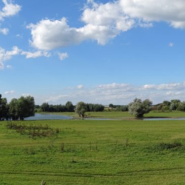 Duursche Waarden (IJsselvallei)